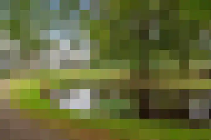 Carolinenhof 4 Leidschendam thumbnail 30