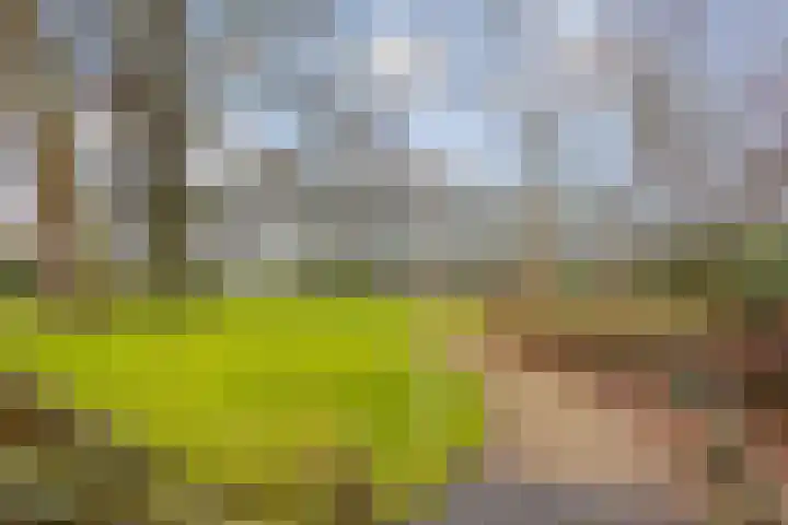Carolinenhof 4 Leidschendam thumbnail 31