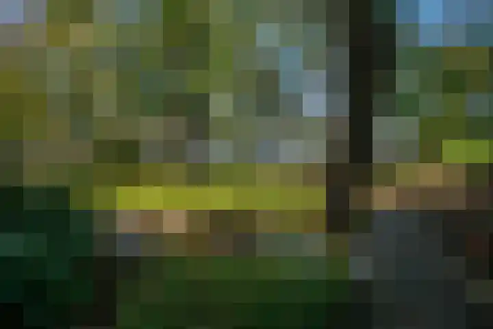 Carolinenhof 4 Leidschendam thumbnail 32