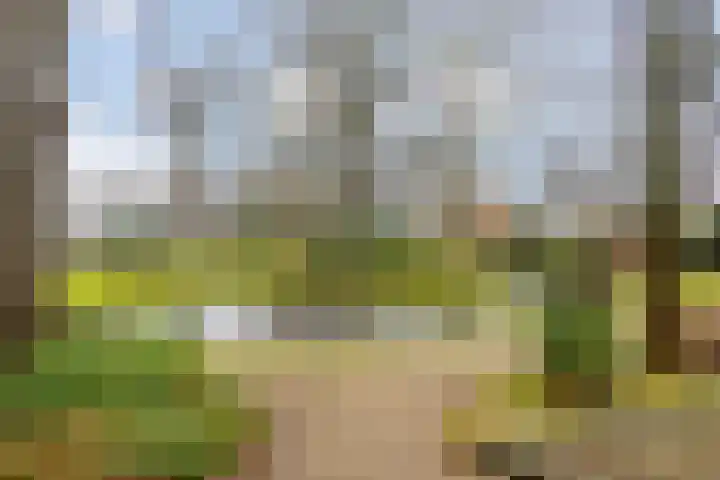Carolinenhof 4 Leidschendam thumbnail 34