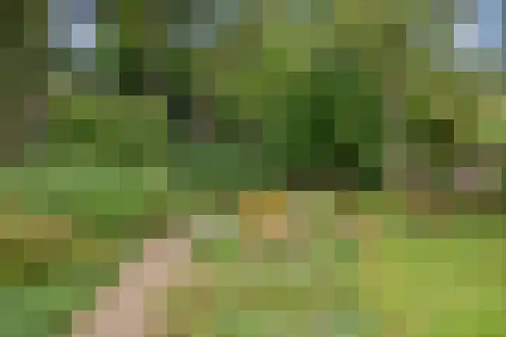 Carolinenhof 4 Leidschendam thumbnail 35