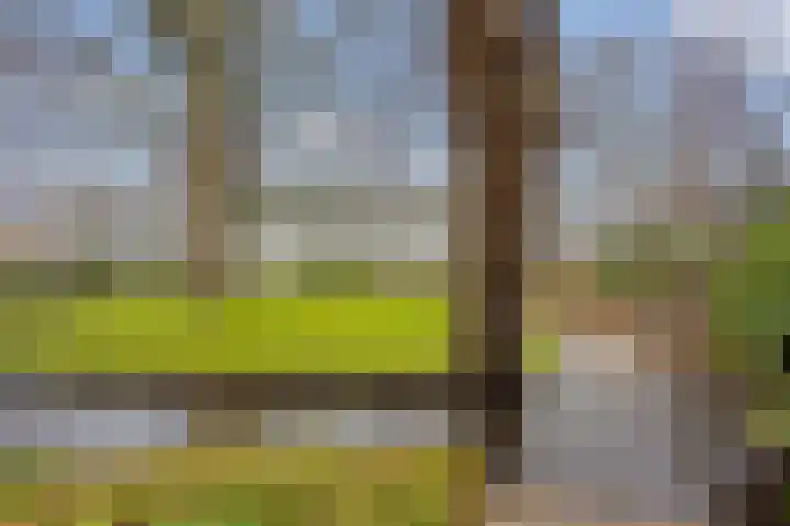 Carolinenhof 4 Leidschendam thumbnail 36