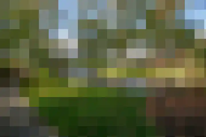 Carolinenhof 4 Leidschendam thumbnail 37