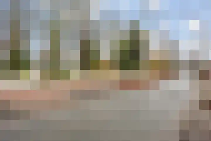 Carolinenhof 4 Leidschendam thumbnail 39