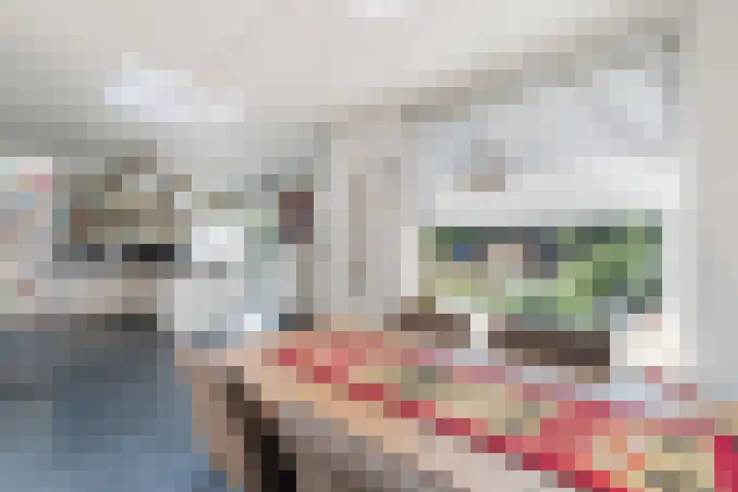 Carolinenstraat 13 Stramproy thumbnail 15