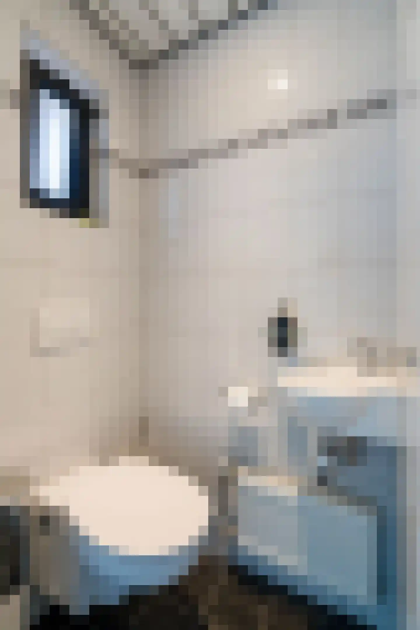 Carolinenstraat 13 Stramproy thumbnail 21