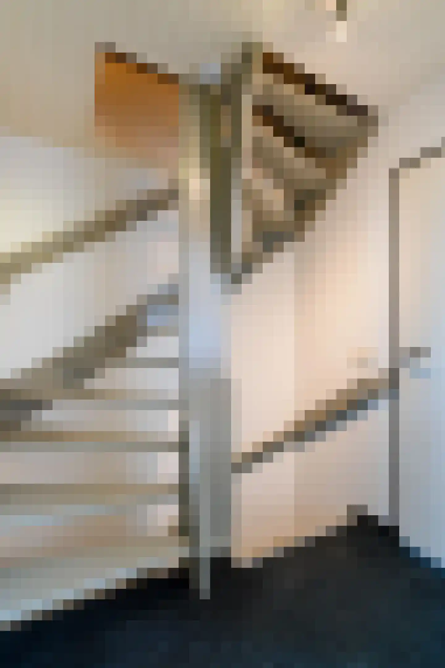 Carolinenstraat 13 Stramproy thumbnail 22
