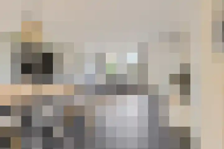 Carolinenstraat 25 Stramproy thumbnail 14