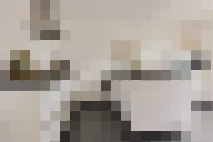 Carolinenstraat 25 Stramproy thumbnail 15
