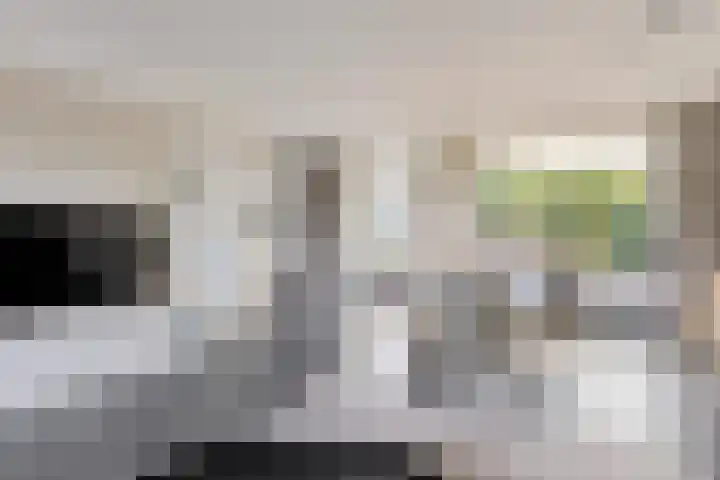Carolinenstraat 25 Stramproy thumbnail 19