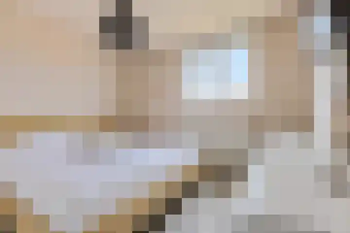 Carolinenstraat 25 Stramproy thumbnail 25