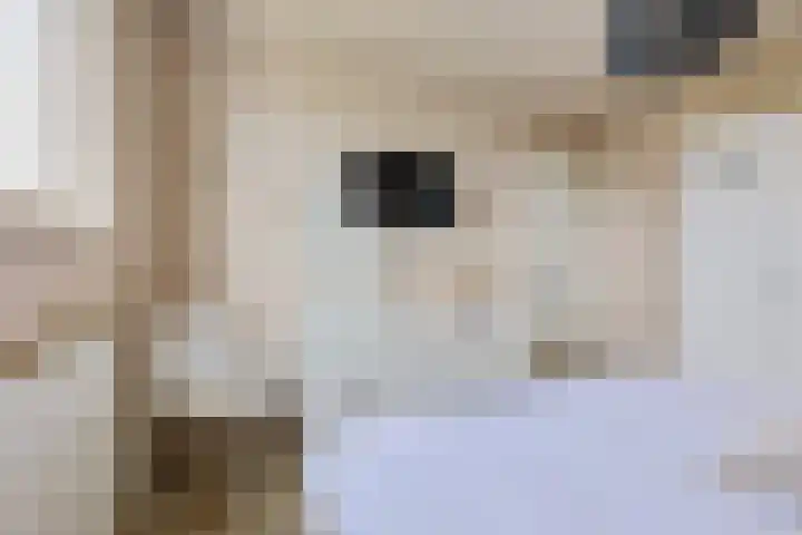 Carolinenstraat 25 Stramproy thumbnail 26