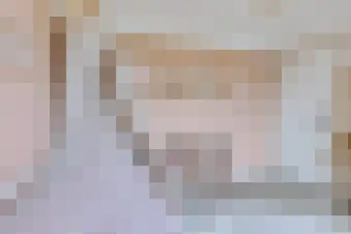 Carolinenstraat 25 Stramproy thumbnail 30