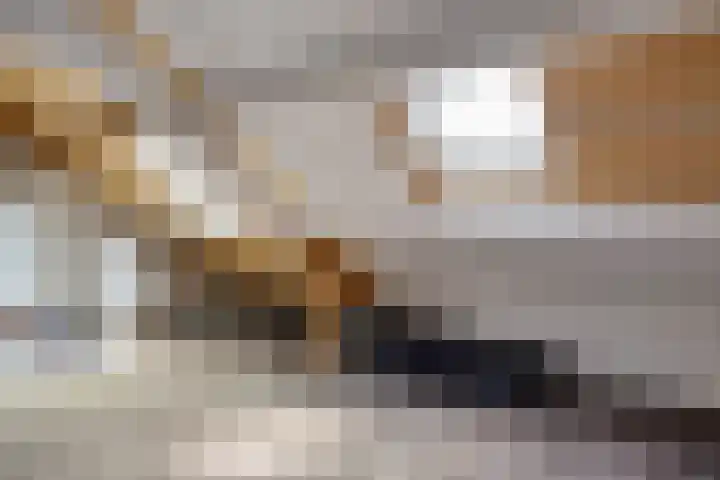 Carolinenstraat 25 Stramproy thumbnail 38