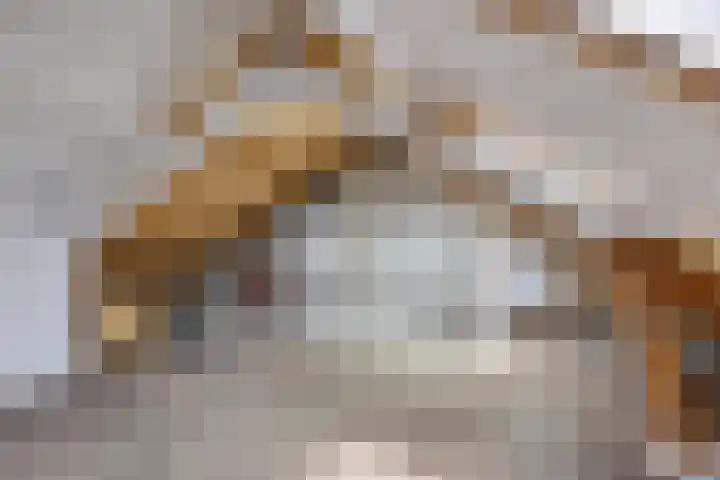 Carolinenstraat 25 Stramproy thumbnail 39