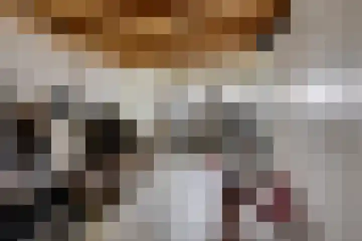 Carolinenstraat 25 Stramproy thumbnail 41
