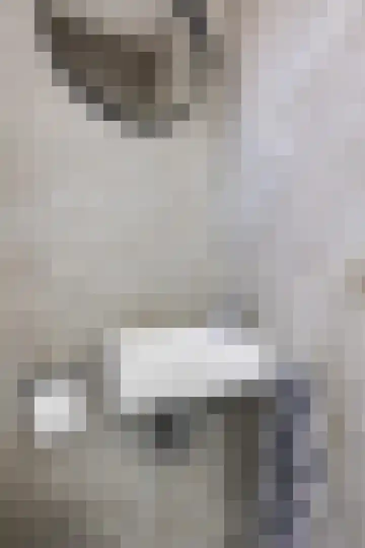 Carolinenstraat 25 Stramproy thumbnail 8