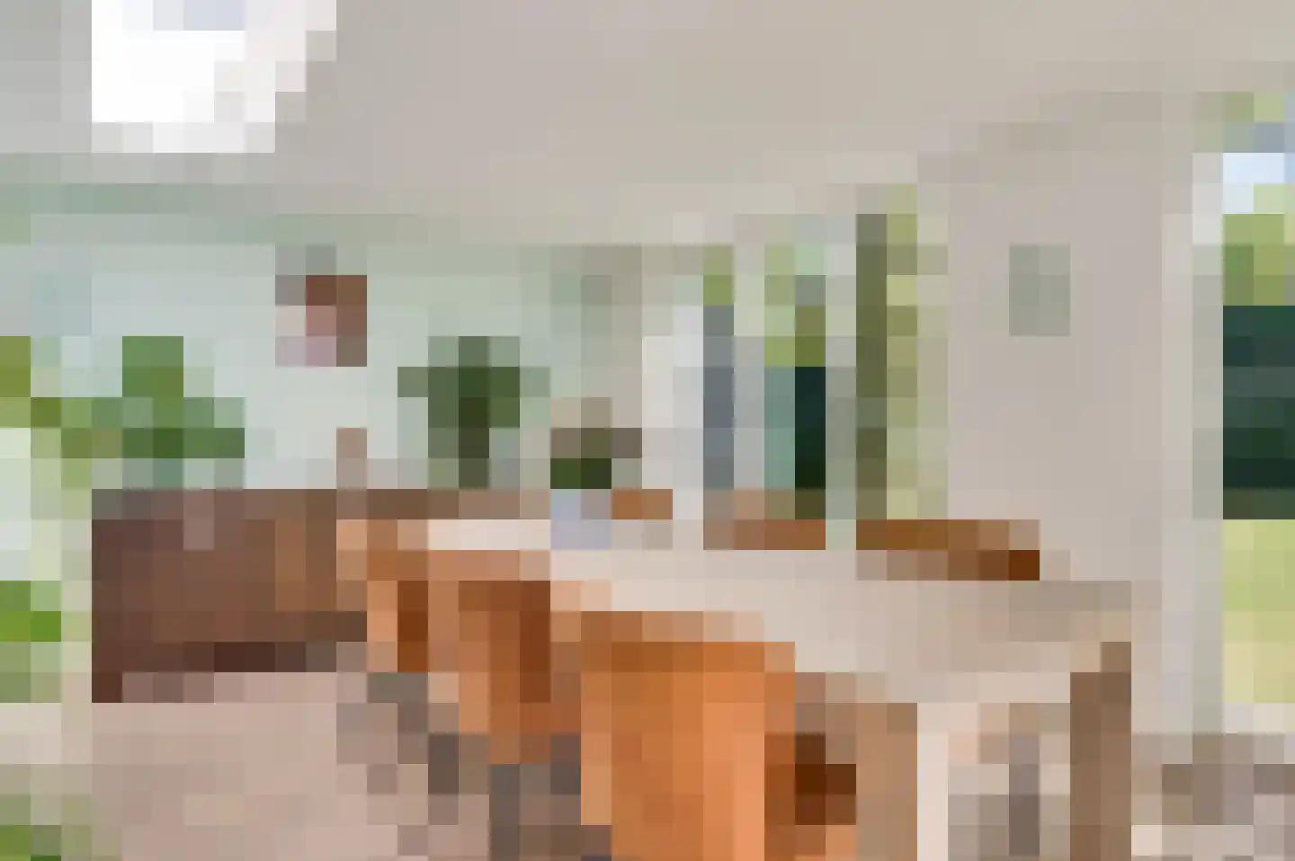 Carolinenstraat 5 Stramproy thumbnail 13