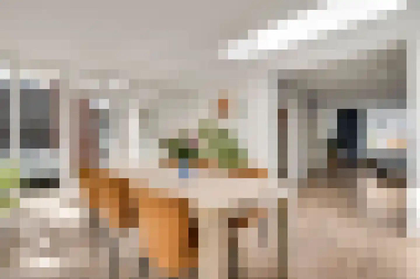 Carolinenstraat 5 Stramproy thumbnail 15