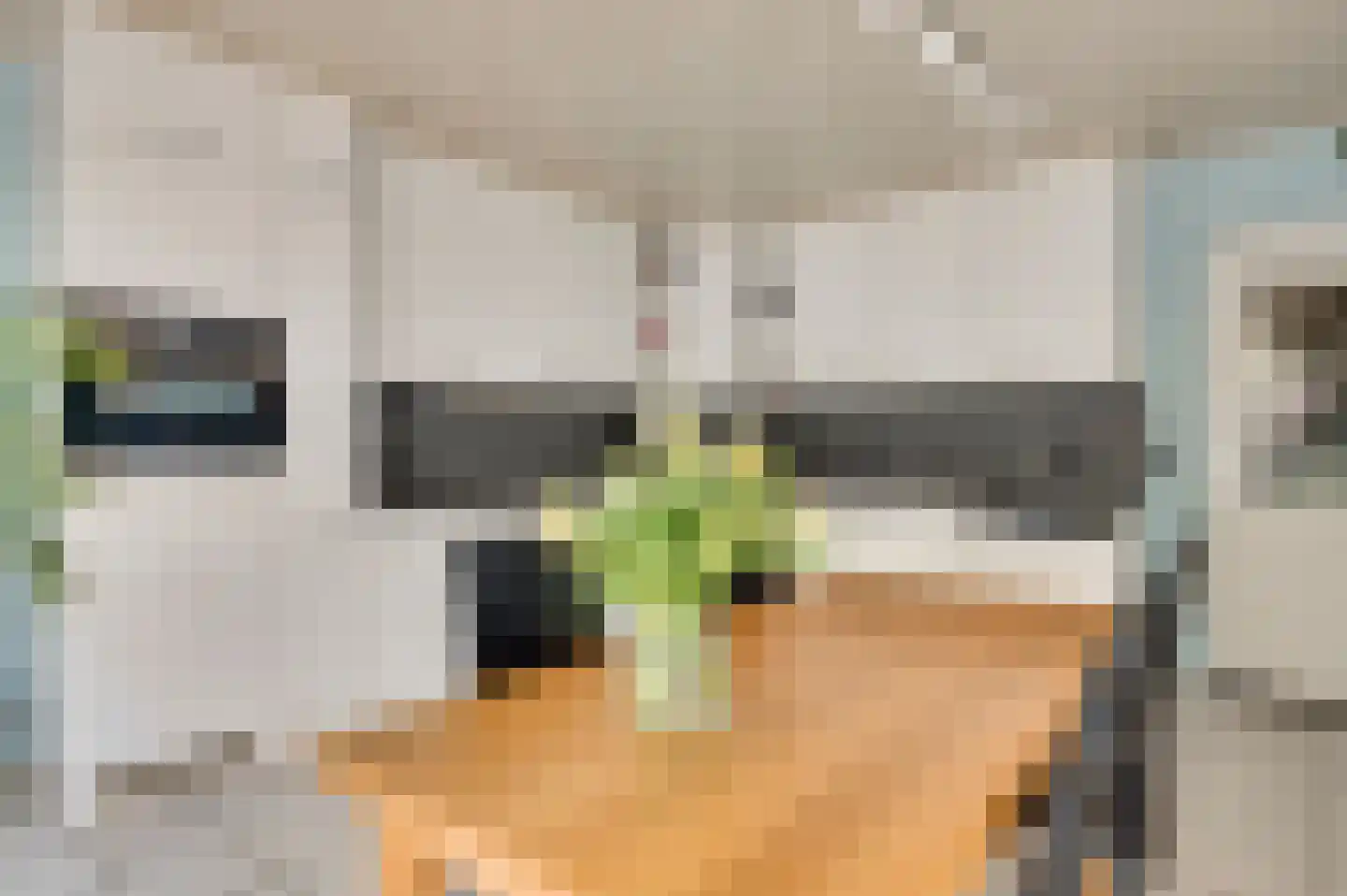 Carolinenstraat 5 Stramproy thumbnail 17