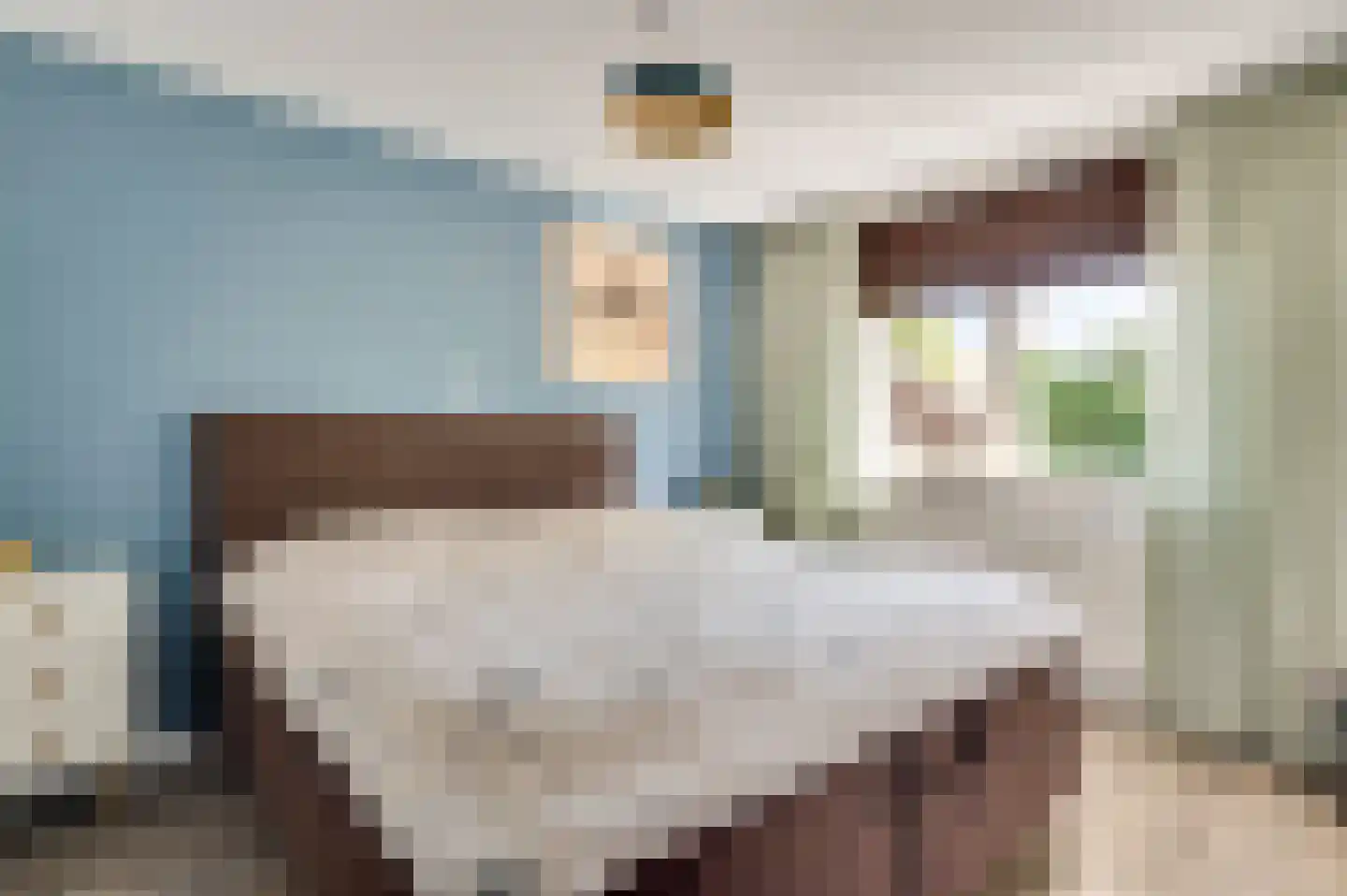 Carolinenstraat 5 Stramproy thumbnail 20
