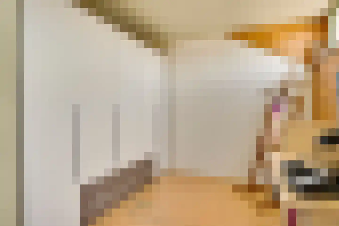 Carolinenstraat 5 Stramproy thumbnail 27