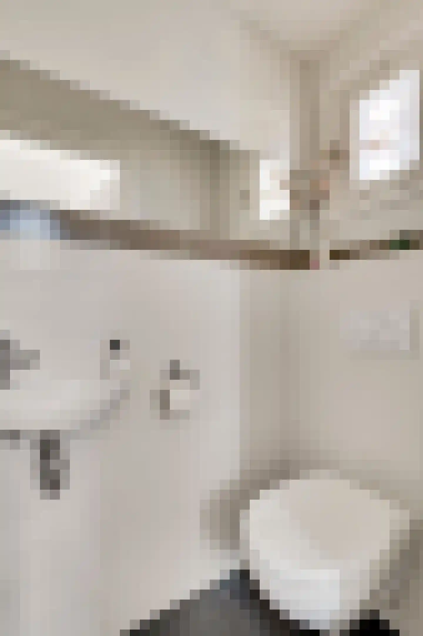 Carolinenstraat 5 Stramproy thumbnail 7