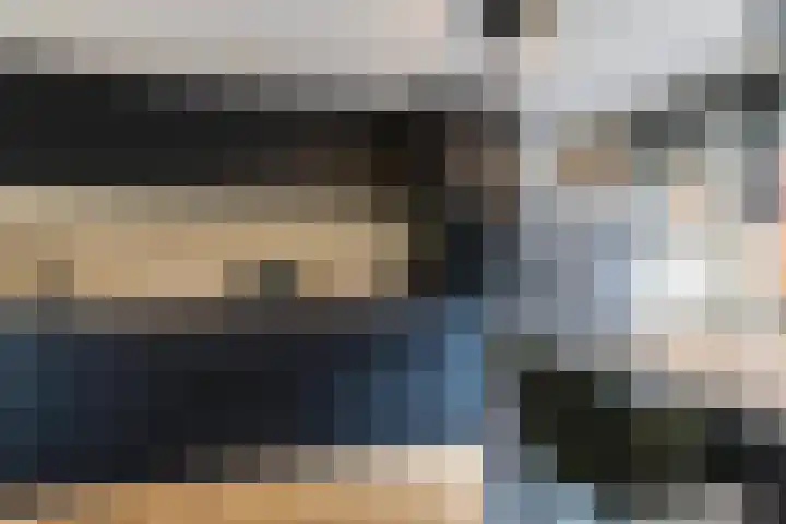 Carolus Linnaeusborg 14 Schiedam thumbnail 18