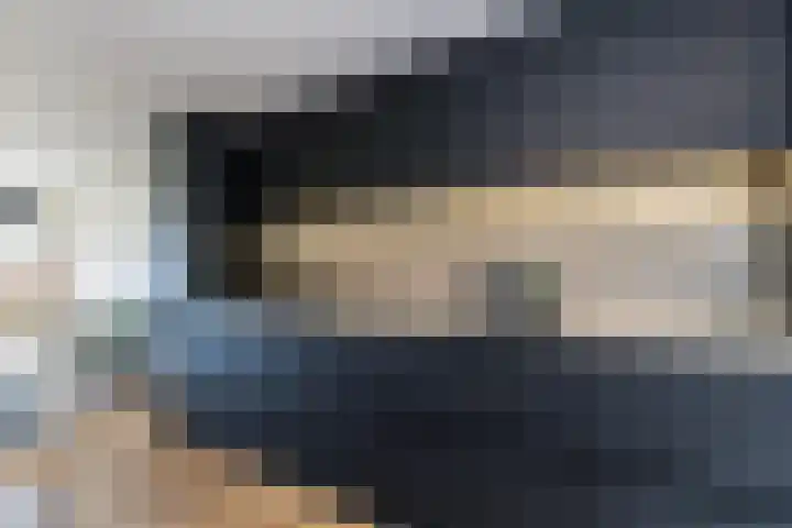 Carolus Linnaeusborg 14 Schiedam thumbnail 19