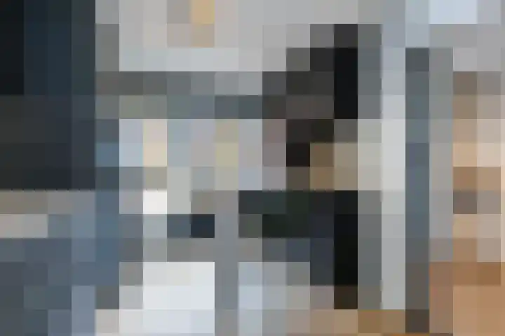 Carolus Linnaeusborg 14 Schiedam thumbnail 22