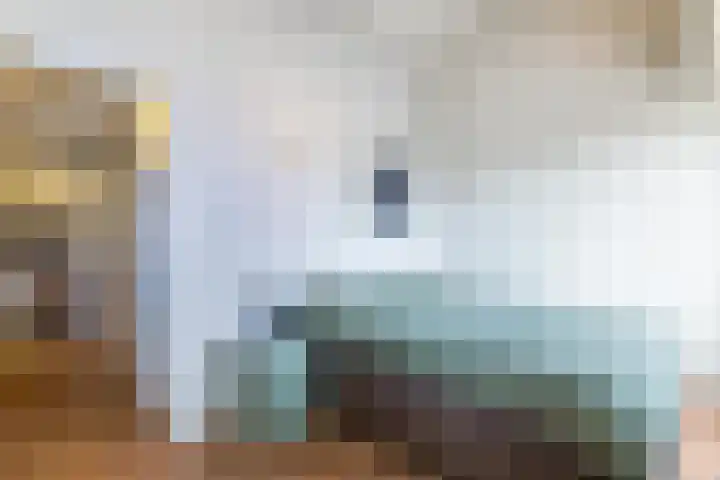 Carolus Linnaeusborg 14 Schiedam thumbnail 26