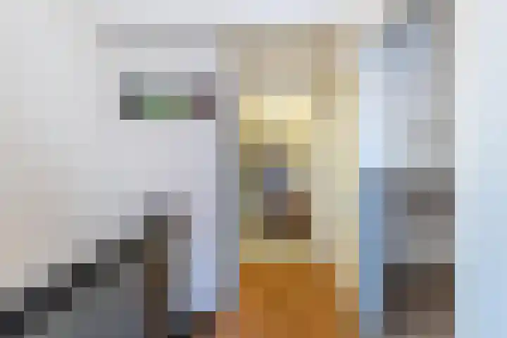 Carolus Linnaeusborg 14 Schiedam thumbnail 28