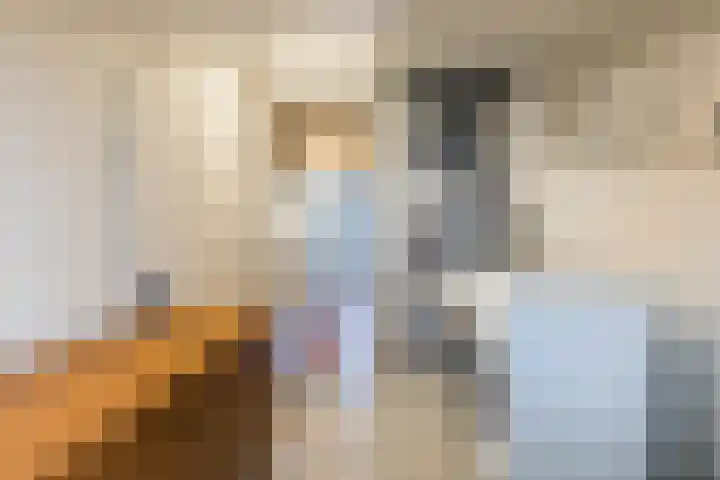 Carolus Linnaeusborg 14 Schiedam thumbnail 36