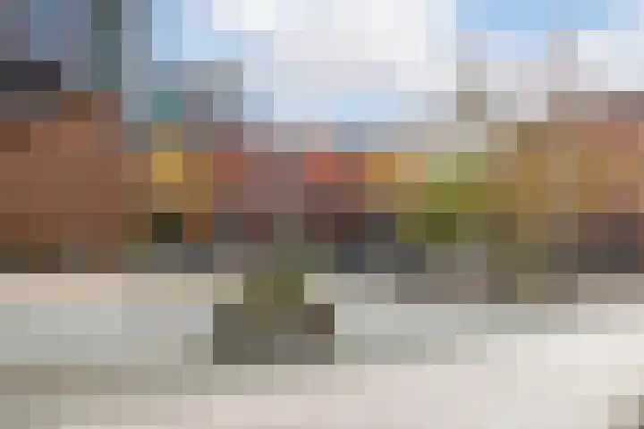 Carolus Linnaeusborg 14 Schiedam thumbnail 41