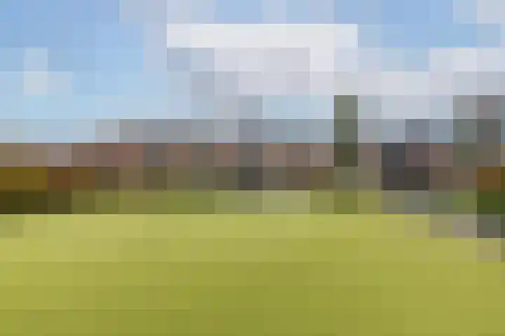 Carolus Linnaeusborg 14 Schiedam thumbnail 42
