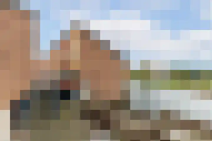 Carolus Linnaeusborg 14 Schiedam thumbnail 43