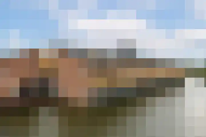 Carolus Linnaeusborg 14 Schiedam thumbnail 44