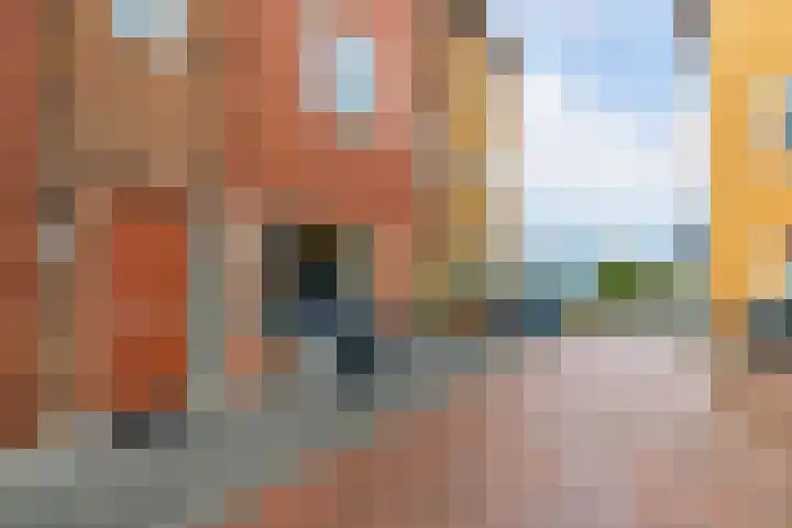 Carolus Linnaeusborg 14 Schiedam thumbnail 5