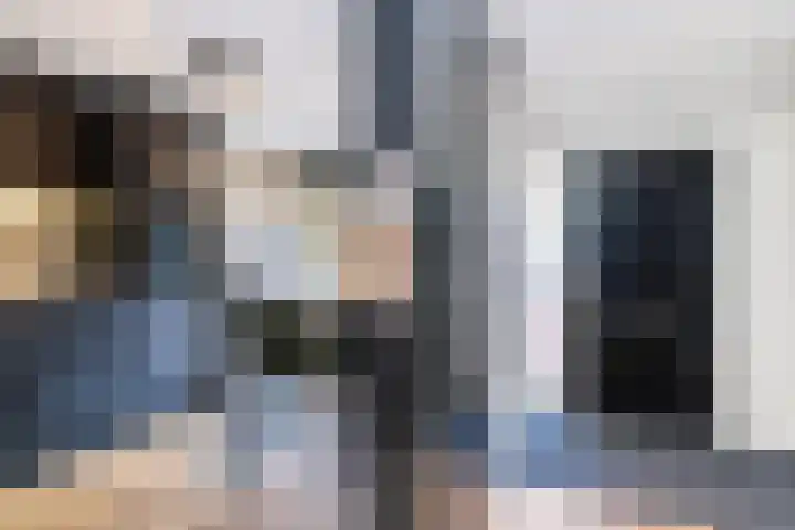 Carolus Linnaeusborg 14 Schiedam thumbnail 8