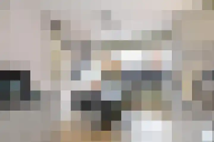 Carolus Linnaeusborg 33 Schiedam thumbnail 21