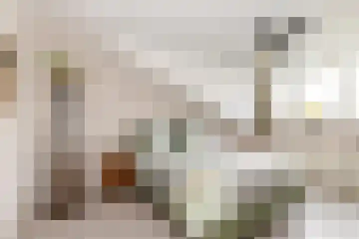 Carolus Linnaeusborg 33 Schiedam thumbnail 33