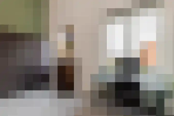 Carolus Linnaeusborg 33 Schiedam thumbnail 37