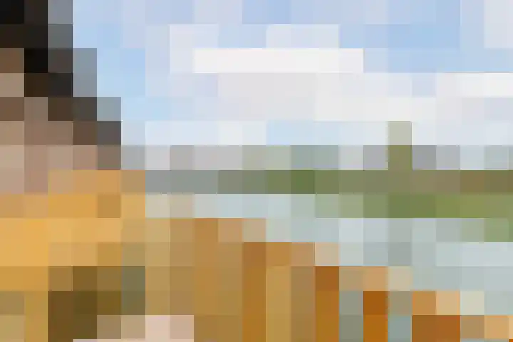 Carolus Linnaeusborg 33 Schiedam thumbnail 5
