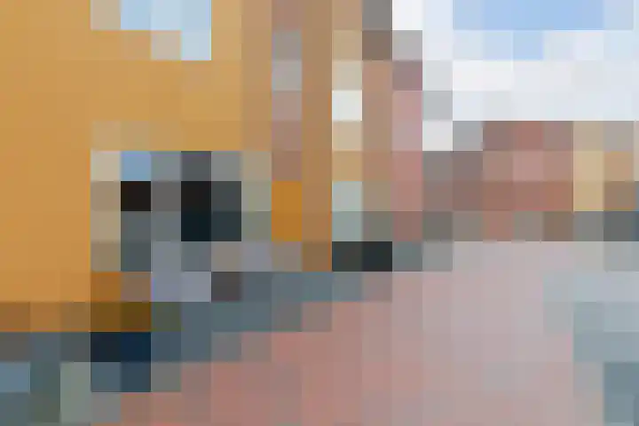 Carolus Linnaeusborg 33 Schiedam thumbnail 6