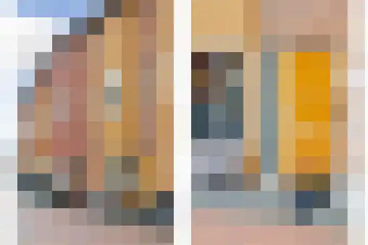 Carolus Linnaeusborg 33 Schiedam thumbnail 7