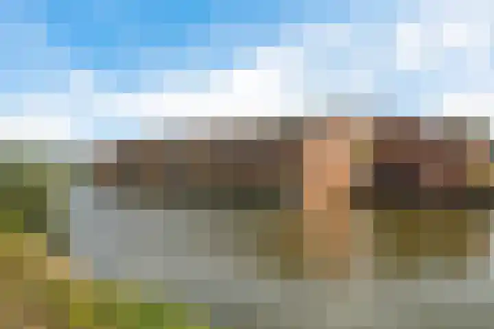 Carolus Linnaeusborg 40 in Schiedam