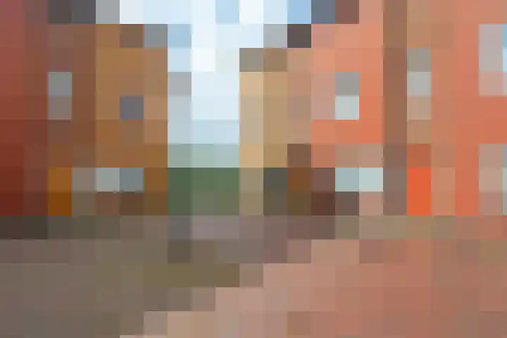 Carolus Linnaeusborg 40 Schiedam thumbnail 10