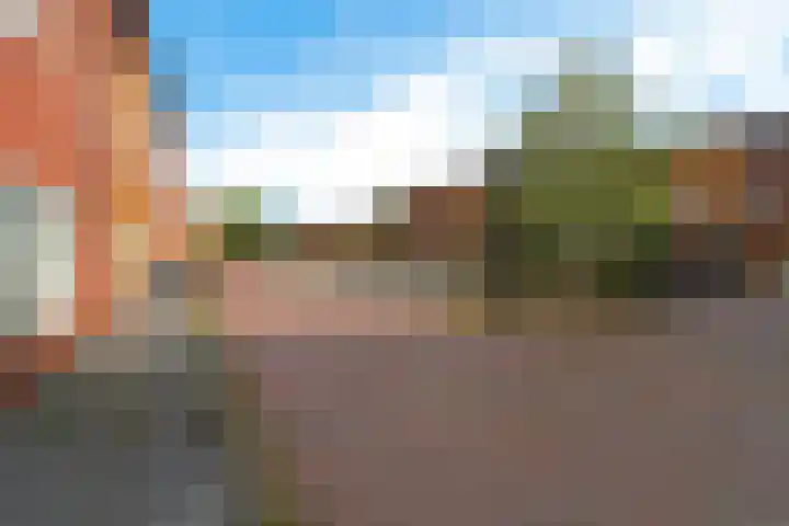 Carolus Linnaeusborg 40 Schiedam thumbnail 12