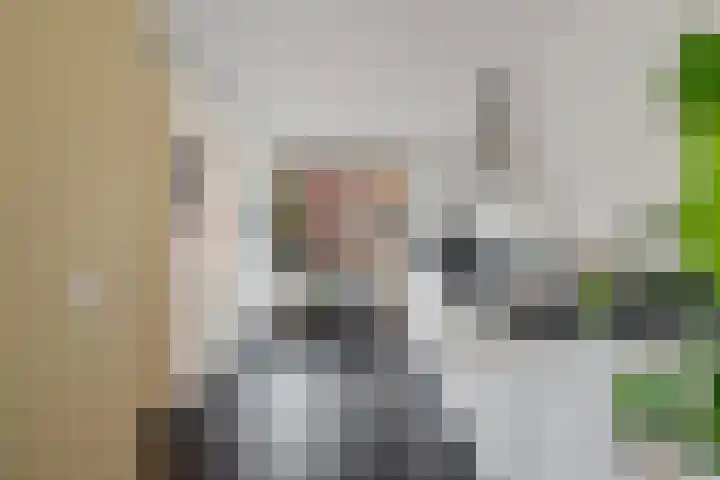 Carolus Linnaeusborg 40 Schiedam thumbnail 20