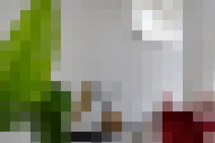 Carolus Linnaeusborg 40 Schiedam thumbnail 29